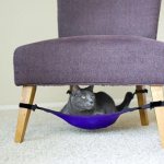 (117 photos) House for a cat: how to place it in the interior and make it yourself