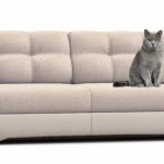 Sofa with anti-vandal fabric for cats - antigarras