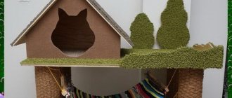 DIY cat house