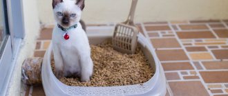 Wood litter for cat litter