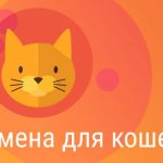 Имена для кошек