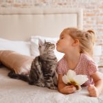 What breed of cats should you choose for children?