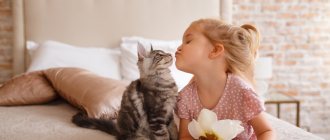 What breed of cats should you choose for children?