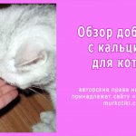 кальция для котов