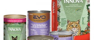 cat food Innova EVO