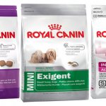 Royal Canin dog food