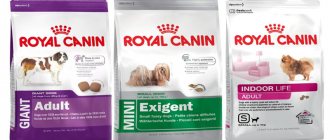 Корм для собак Royal Canin