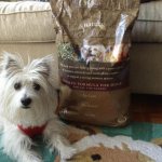 organics dog food reviews