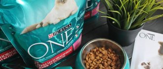 purina cat food