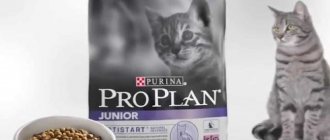 Корм Purina Pro Plan junior