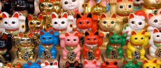 maneki-neko of all colors