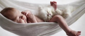 baby and cat