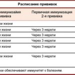 Обязательные и рекомендуемые прививки, какие делают кошкам