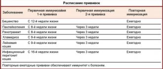 Обязательные и рекомендуемые прививки, какие делают кошкам