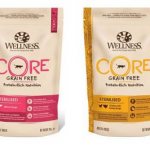 Wellness Core dry food review