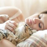 Why cats love to sleep with their owners. Read the article for opinions from experienced breeders 