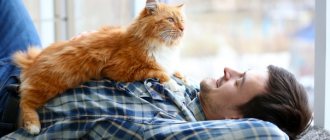 Why do cats gravitate toward people who don&#39;t love them?