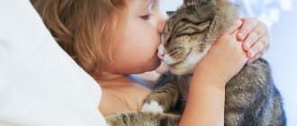 Do cats understand kisses?