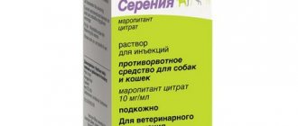 Antiemetic for cats Zoetis Sereniya