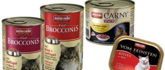 variety of food for cats and kittens animonda