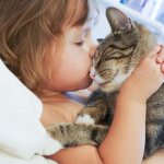 The kindest cat for a child