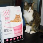 dry cat food blitz