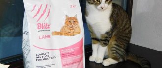 dry cat food blitz