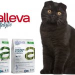 Pack of 400 g of dry food Diusa Pet Alleva Holistic for sterilized cats.